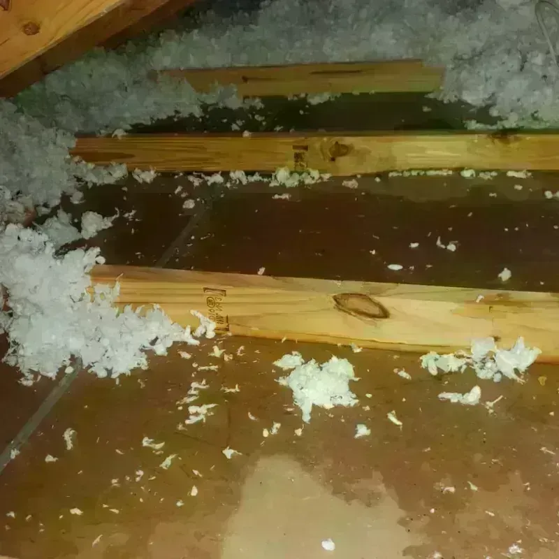 Attic Water Damage in Hoback, WY