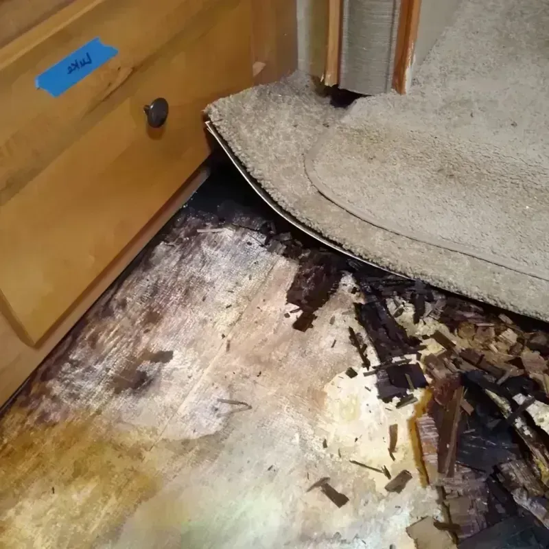 Best Wood Floor Water Damage Service in Hoback, WY